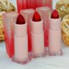 Labiales USHAS - Imagen 2