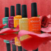 Esmalte Wincolor