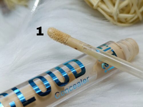 Corrector Cloud