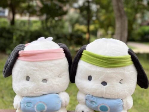 Peluche de Pachaco