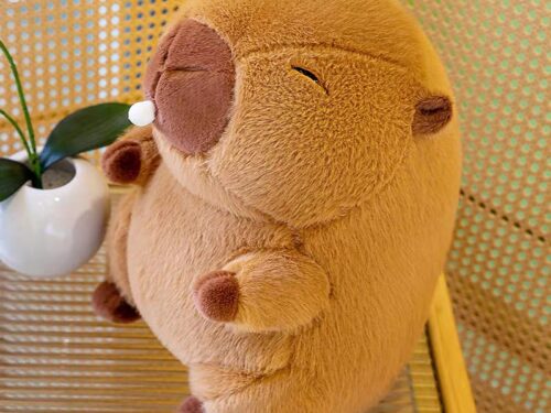 Capibara(Chicle)40cm-45cm