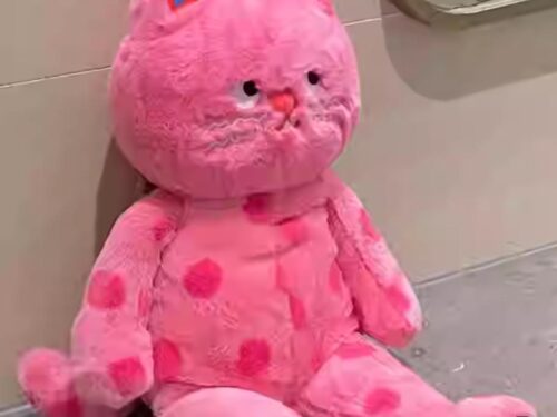 Peluche De Gato 60Cm