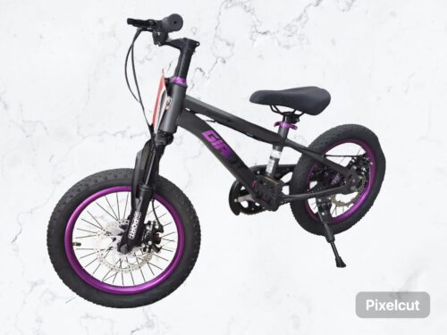 BICICLETA GIAOT RIN 16