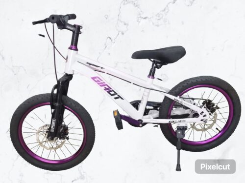 BICICLETA GIAOT RIN 18