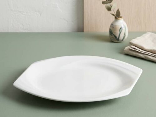 PLATO CON FORMA GEOMETRICA