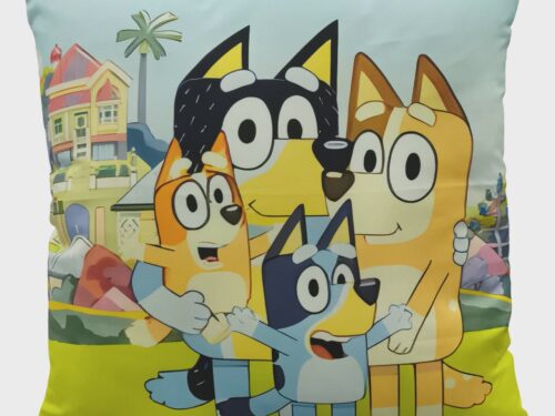 COJÍN INFANTIL