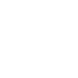 tazas