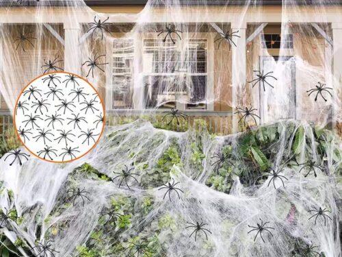 TELA DE ARAÑA CON ARAÑAS