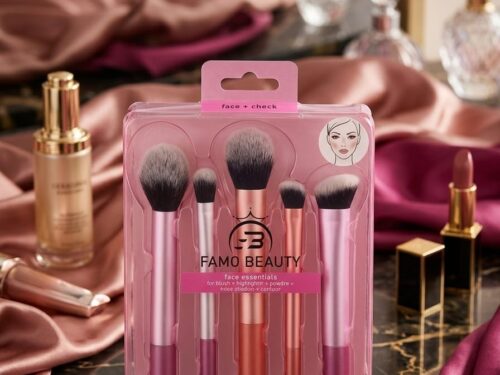 SET DE BROCHAS X 5